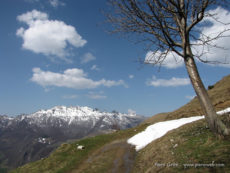 11 Ultima neve, primi fiori.jpg